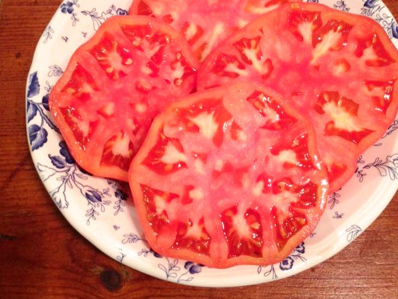 Menú del día en la estación de autobuses de Valladolid