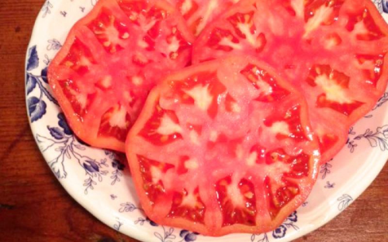 Menú del día en la estación de autobuses de Valladolid
