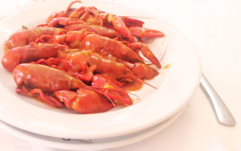 Comidas en Restaurante Bus Stop